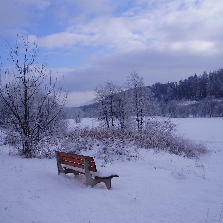 Feriendomizil-Sauerland Fewo 1 Medebach Buitenkant foto